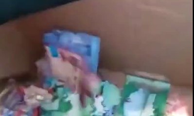 Mice eat their way through hundreds of pounds of banknotes