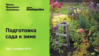 Подготовка сада к зиме, укрытие роз, кустарников