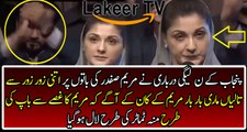Darbari Goes Out of Control to Impress Maryam Nawaz