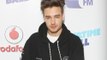 Liam Payne to follow Harry Styles into acting?