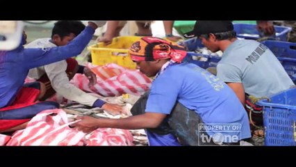 Fakta tvOne - "Luhut vs Susi: Tenggelamkan Atau Tidak?" [Part 3]