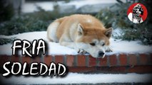 SI LLORAS PIERDES (LAS 6 DESPEDIDAS MAS DOLOROSAS Y DESGARRADORAS DE ANIMALITOS) | OSCAR JACK