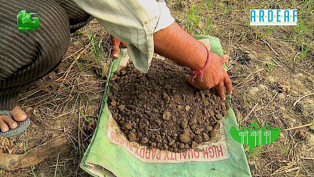ChickPea Farming(चने की खेती) Part - 1