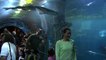 Open d'Australie 2018 - Maria à l'aquarium avant de jouer Maria Sharapova à Melbourne