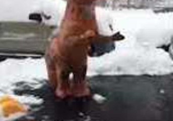 T-Rex Stops Shoveling Snow to Have Her Own Dance Party