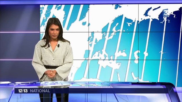 Attila, le drone tueur de frelons