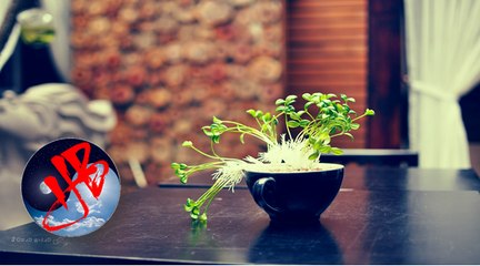 Nước càng nhạt thì càng trong suốt, người càng bình thản thì càng vui vẻ, an nhiên