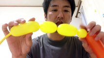 バルーンアートの作り方　ちょうちょ　蝶　How to make butterfly of the balloon art