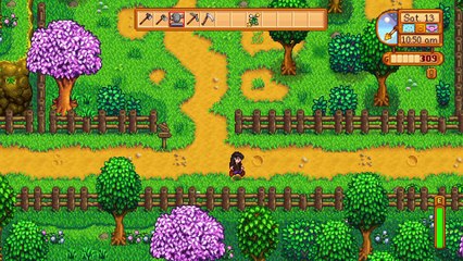 Stardew Valley