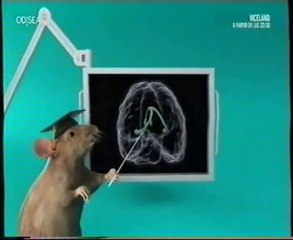 Hipocampo y memoria espacial: The Knowledge (Taxistas de Londres)