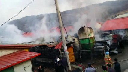 여주 돼지 농가서 불...960여 마리 죽어 / YTN