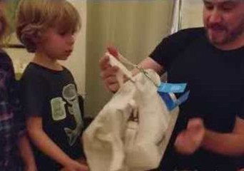 Redditor Gets Late Secret Santa Gift From Mythbusters Host