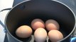 Quick Tips: How To Make Boiled Eggs | One Pot Chef