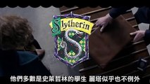 【怪獸與牠們的產地】小彩蛋 角色分析｜ 鄧不利多喜歡葛林戴華德！？