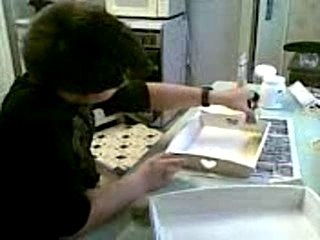 Dylan fait de la peinture à l'éponge