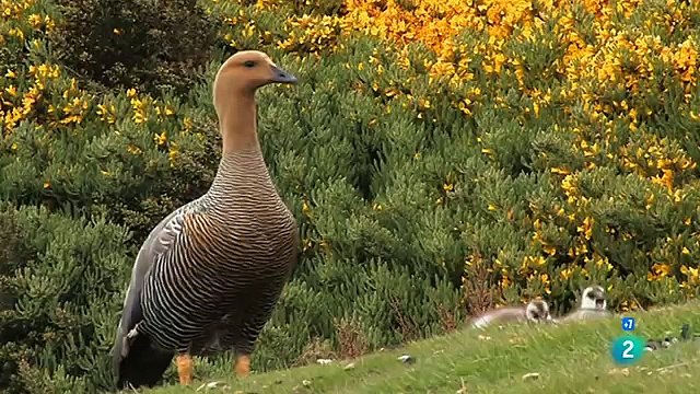Supervivencia en los extremos del mundo - Grandes documentales