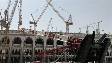 جدل بشأن سيطرة السعودية على بعض أصول بن لادن