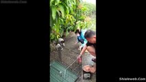 Rescatando A Unos Perros Cachorros Abandonados En Una Huerta