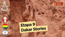 Revista - Etapa 9 (Tupiza / Salta) - Dakar 2018