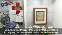 Cannabis museum celebrates legal weed in Uruguay