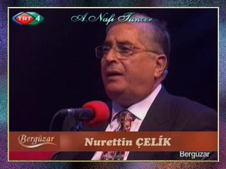 Nurettin ÇELİK - Çubuğum Yok Yol Üstüne Uzatam