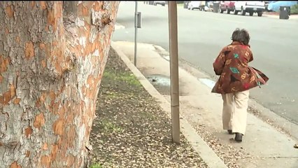 Seven-Year-Old on Life Support After Being Shot in Apparent Drive-by