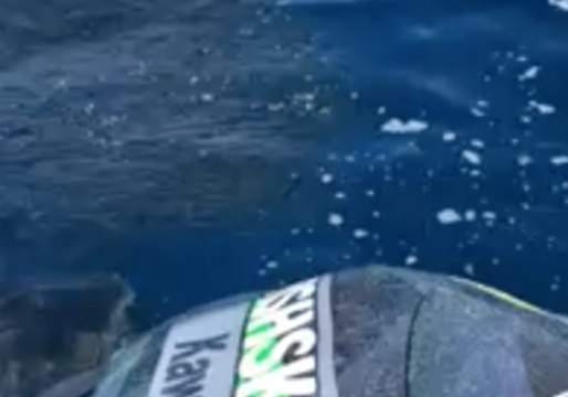 Jet Skiers Surrounded by Bull Sharks off Noosa