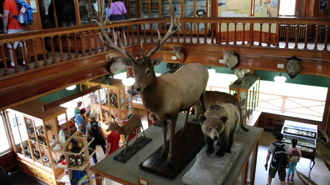 Best Tips for Visiting Banff, Alberta in one day