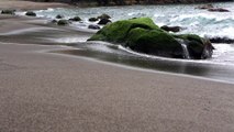 Stones, Waves, Water　坂本勝直