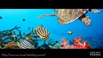 Scuba diving at Andaman