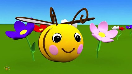 Animal sounds cartoon for kids toddlers children to le