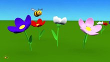 Animal sounds cartoon for kids toddlers childr