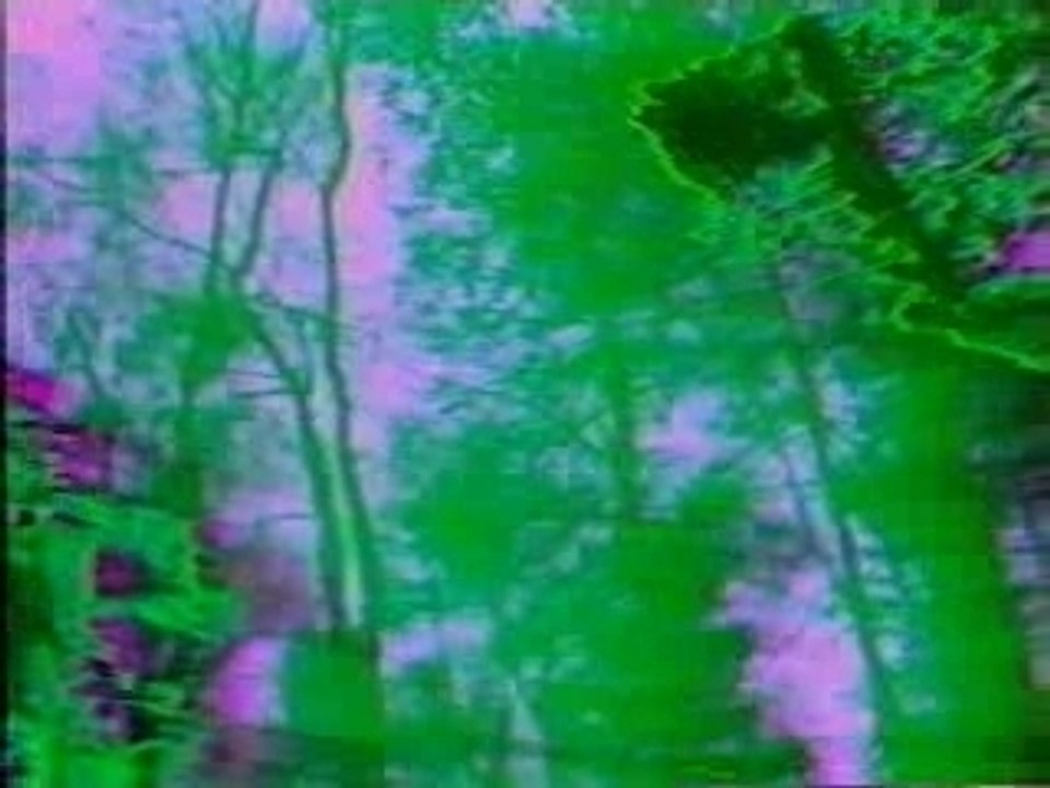 The_Cure_-_A_forest