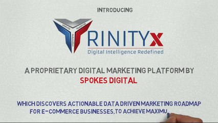 TrinityX - Digital Marketing Platform