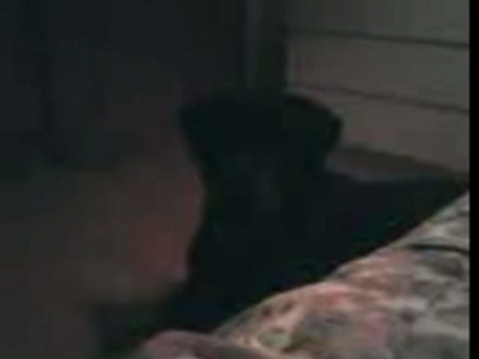 ROTTWEILER QUI VEUT PAS DORMIR