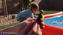 WATER SLIDE Fun Surprise Toys   Learn Letters w_ HobbyGator HobbyBabyTV