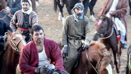 Afghanistan: chevaux du bouzkachi, bêtes de scène et de guerre