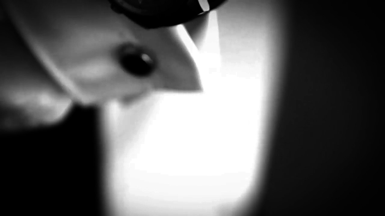 120.Extremsport und Eleganz im Audi S8 plus.