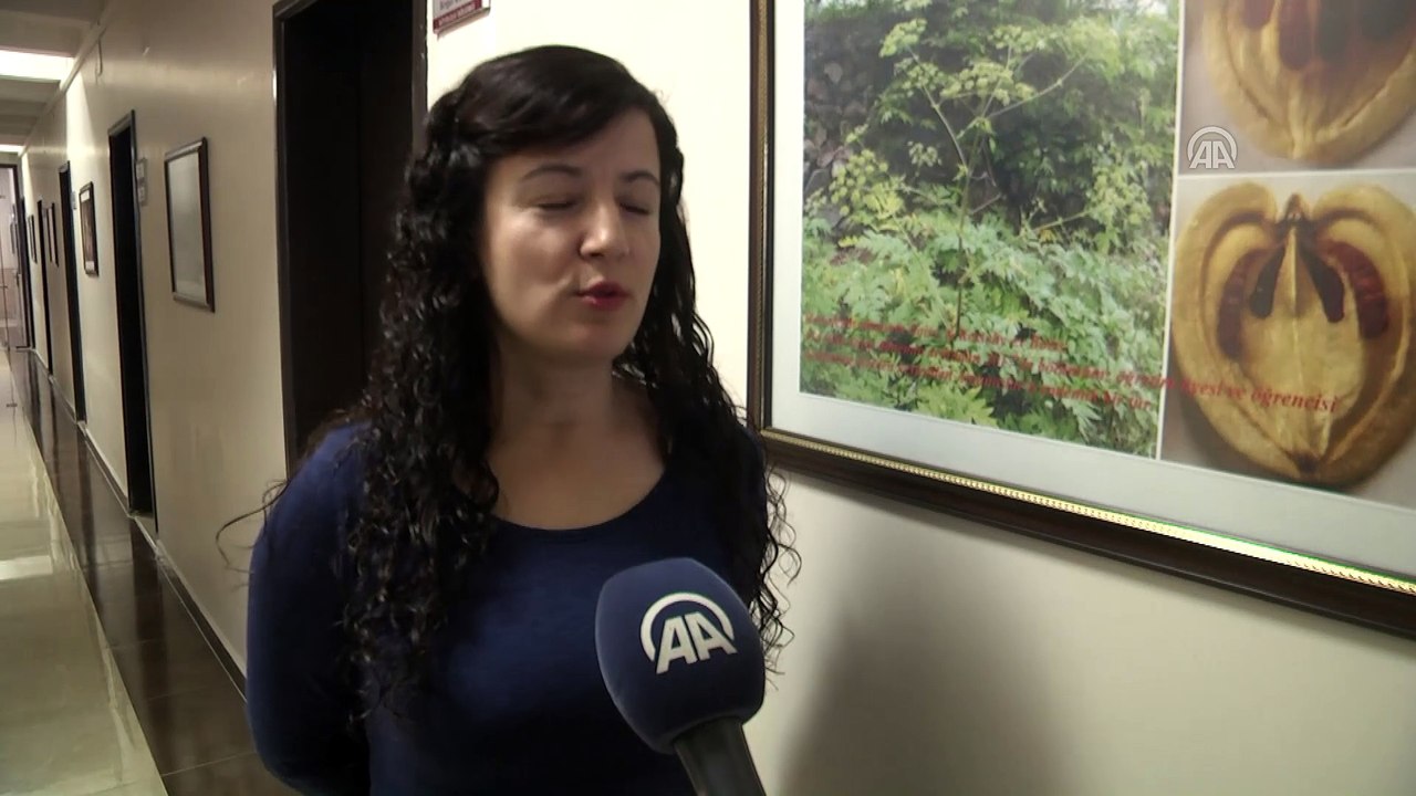 'Amanos öğrek otu' dünya bitki literatürüne girdi - HATAY