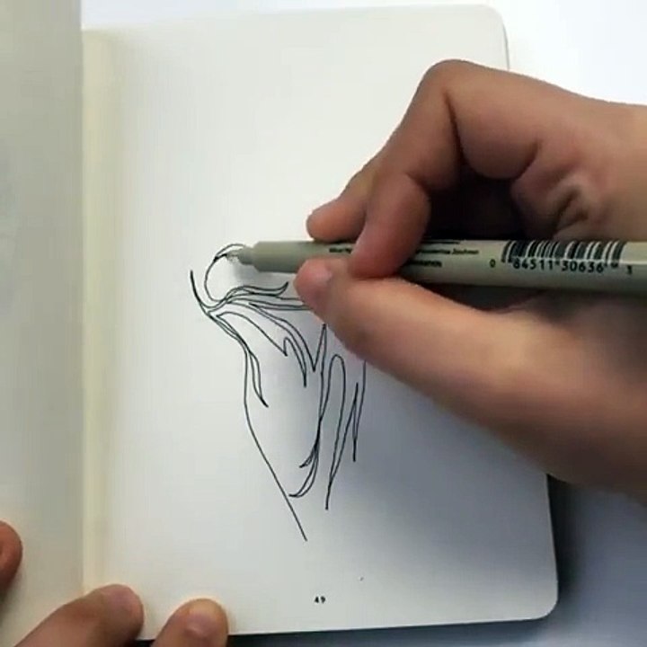 Dessiner 3 Cercle Sans Lever Le Stylo