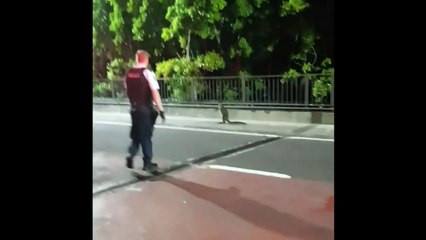 Balade d'un kangourou sur un pont autoroutier en Australie !