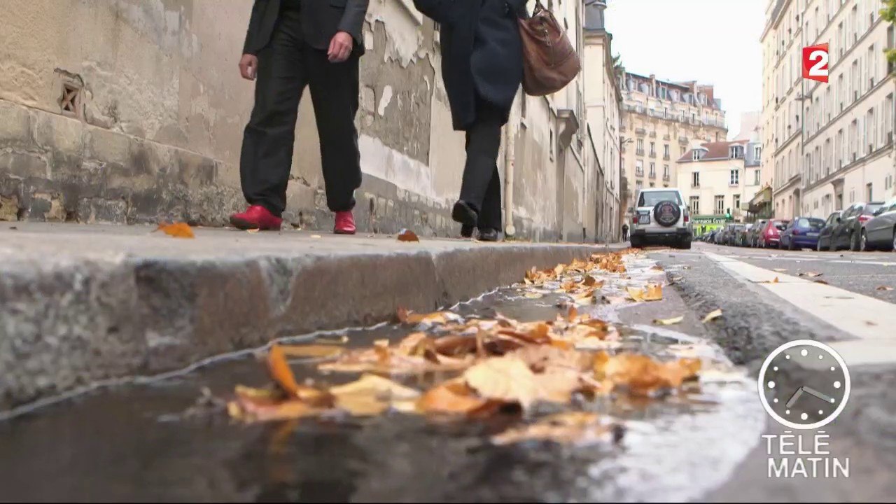 Sciences - La vie des caniveaux