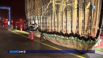 Pêche électrique : l'heure du choix pour l'UE