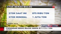 Keputusan Impor Beras Oleh Pemerintah Dinilai Tergesa-gesa