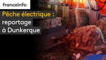 Pêche électrique : reportage à Dunkerque