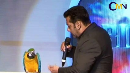 Salman Khan With Radhey The Talking Parrot