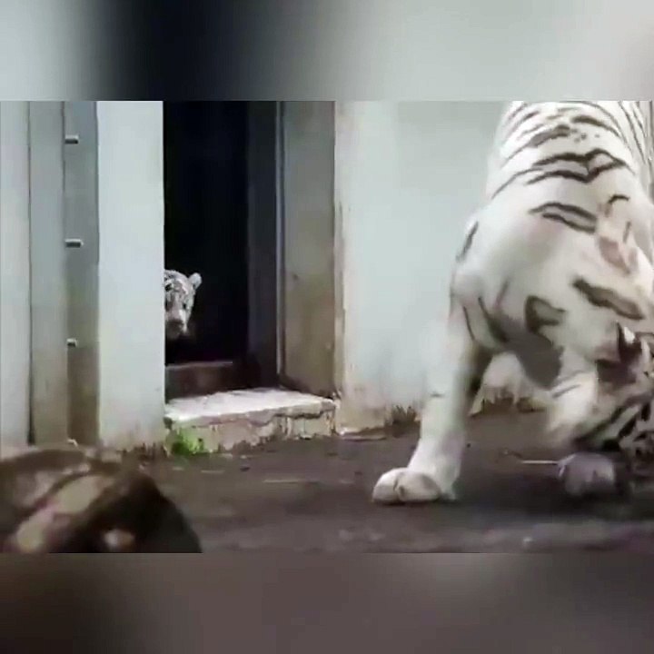 Daily Positive - When you forgot that you have children! 