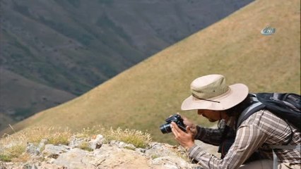 Adü'lü Akademisyen Tunceli'de Yeni Bir Bitki Türü Keşfetti
