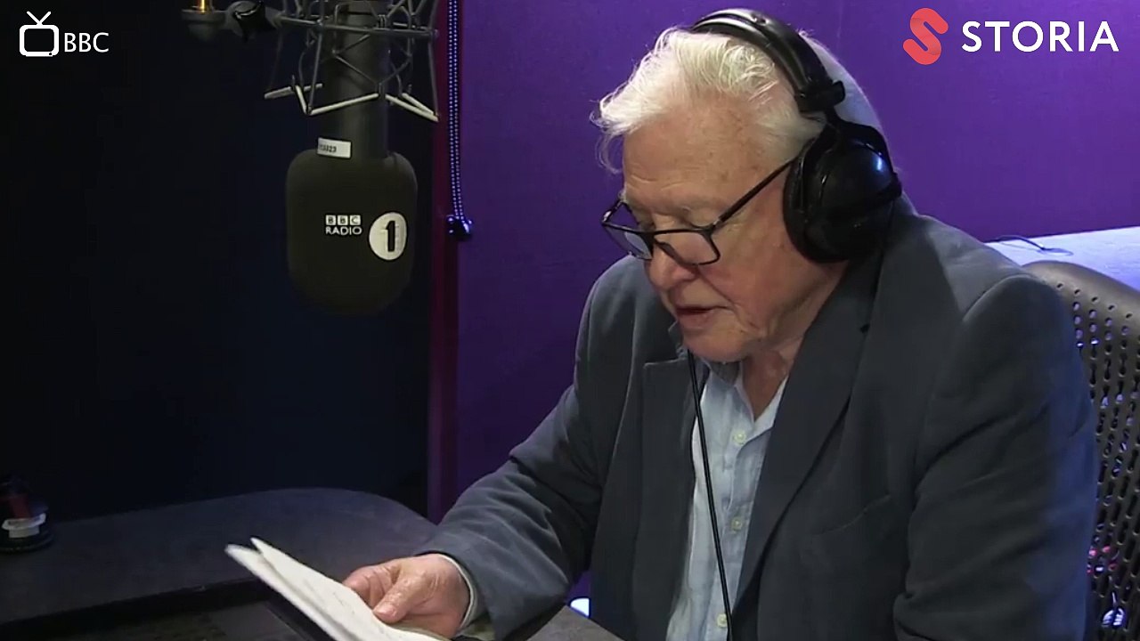 ‘Planet Adele’: Dünyaca ünlü seslendirmeci pop klibini kendi tarzıyla sunarsa ne olur?