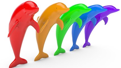 Learn Colors With Cute Dolphin For Kids - Colours With Animals For Children Toddlers